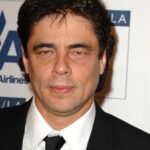 Benicio Del Toro - IMDb