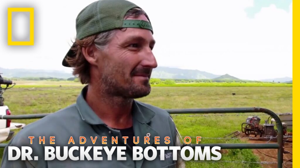 Dr. Buckeye Bottoms - Professional Portrait