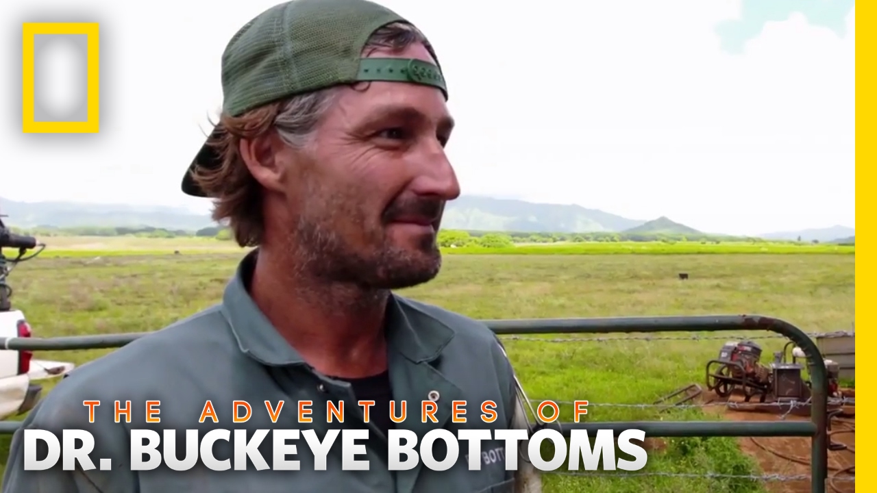 Dr. Buckeye Bottoms - Professional Portrait