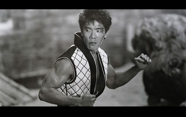 Yuji Okumoto - Professional Portrait